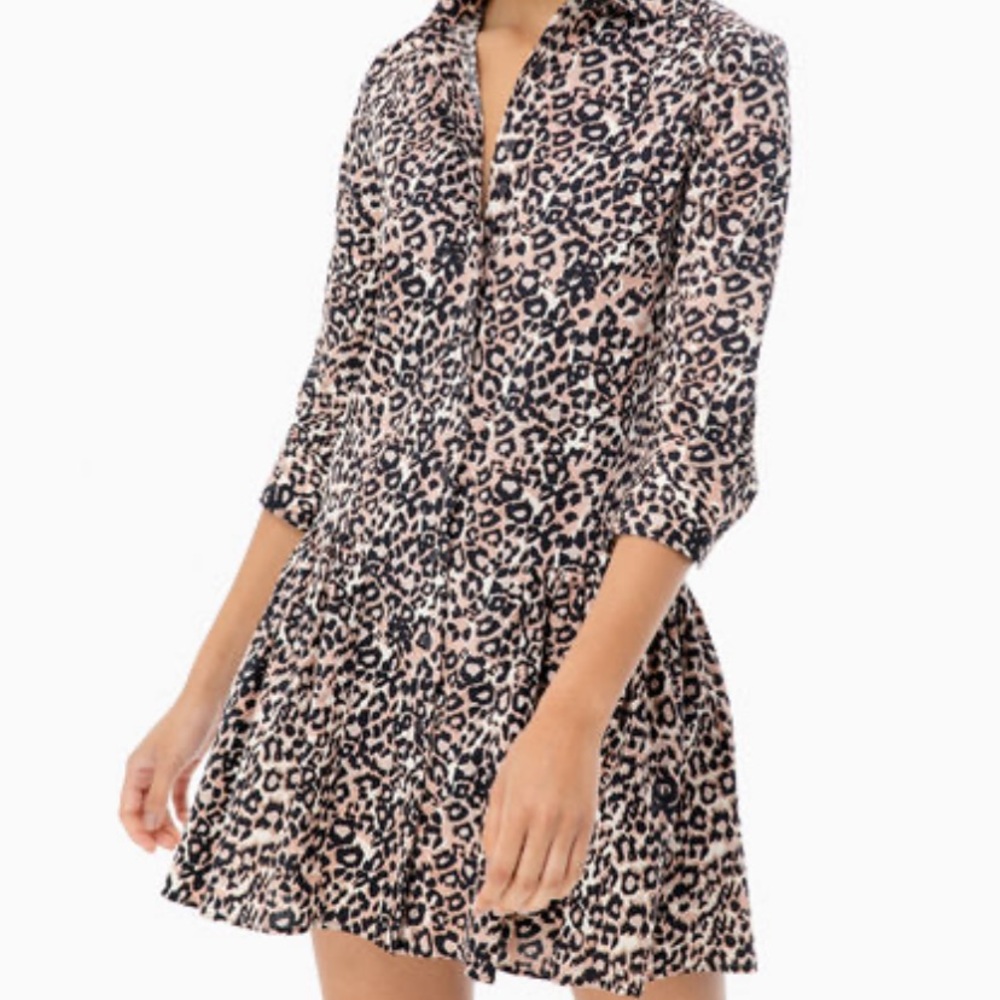 Drop waist shirt dress
